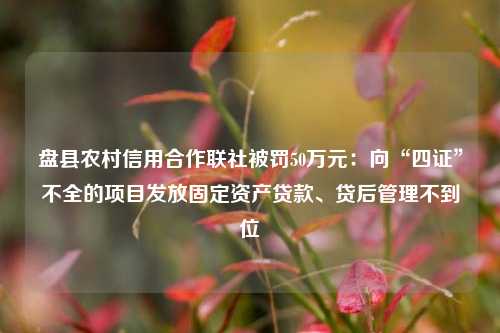 盘县农村信用合作联社被罚50万元：向“四证”不全的项目发放固定资产贷款、贷后管理不到位