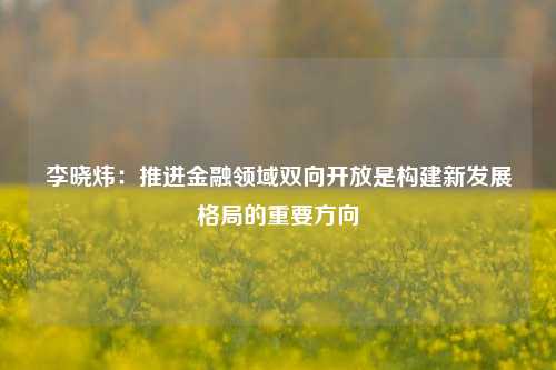 李晓炜：推进金融领域双向开放是构建新发展格局的重要方向