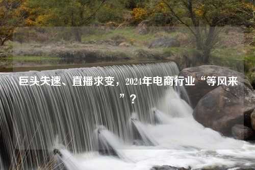 巨头失速、直播求变，2024年电商行业“等风来”？