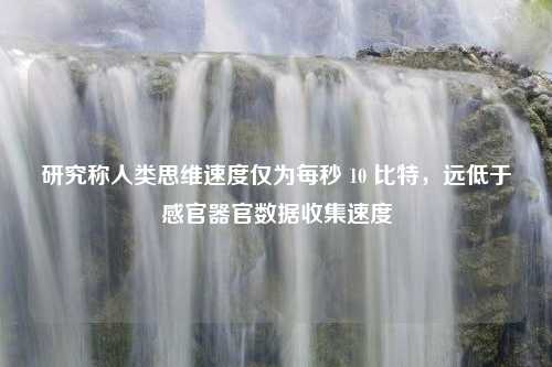 研究称人类思维速度仅为每秒 10 比特，远低于感官器官数据收集速度