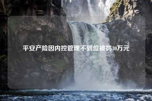 平安产险因内控管理不到位被罚30万元