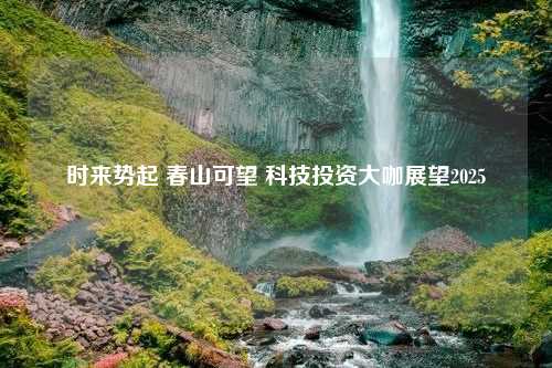 时来势起 春山可望 科技投资大咖展望2025