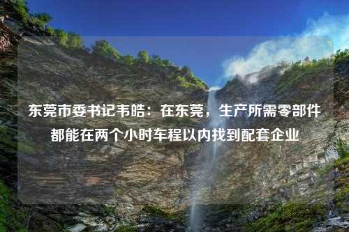 东莞市委书记韦皓：在东莞，生产所需零部件都能在两个小时车程以内找到配套企业