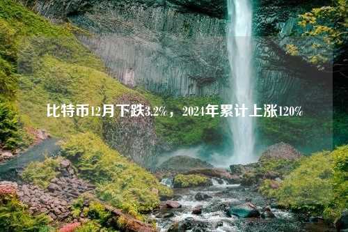 比特币12月下跌3.2%，2024年累计上涨120%