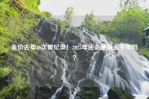 金价去年40次破纪录！2025年还会是黄金牛市吗？