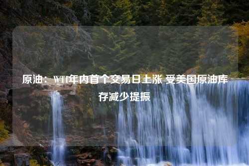 原油：WTI年内首个交易日上涨 受美国原油库存减少提振