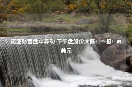 诺亚财富盘中异动 下午盘股价大跌5.29%报11.09美元