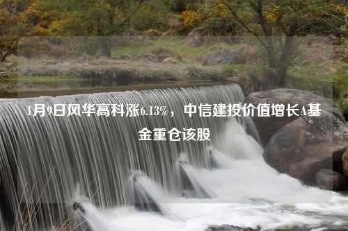 1月9日风华高科涨6.13%，中信建投价值增长A基金重仓该股