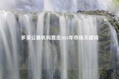 多家公募机构直击2025年市场关键词